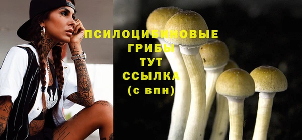 твердый Кулебаки