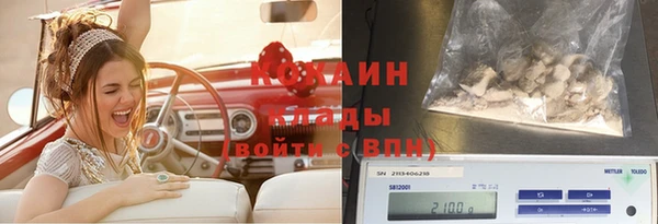 твердый Кулебаки