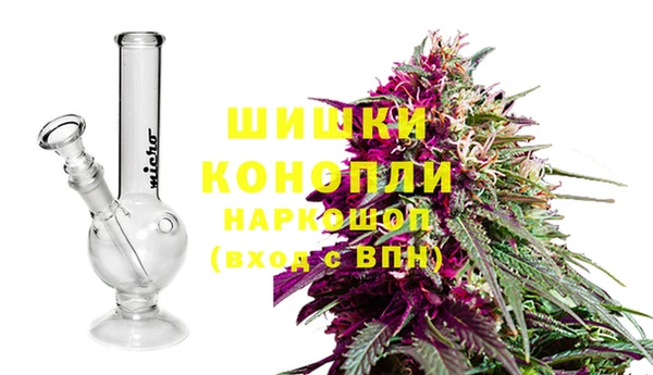 Альфа ПВП Ладушкин