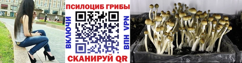 ОМГ ОМГ маркетплейс  Невинномысск  Галлюциногенные грибы прущие грибы  что такое  
