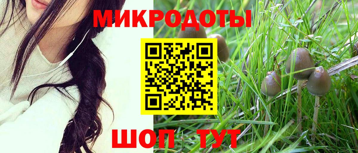 Галлюциногенные грибы мицелий Невинномысск